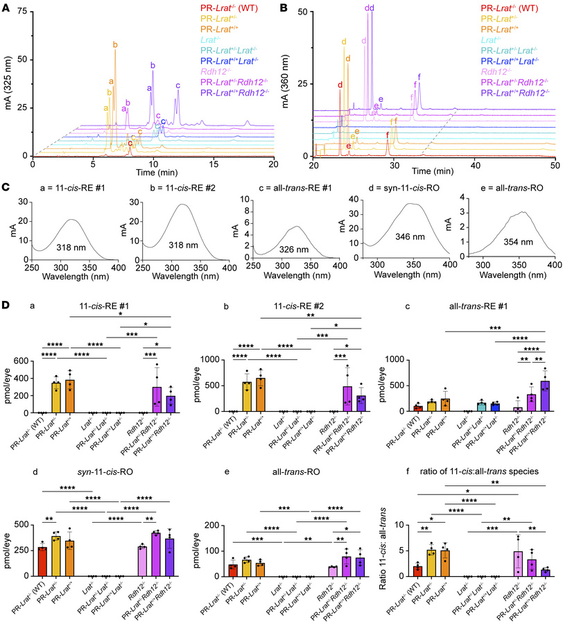 Baseline profiling of retinoids isolated from 6- to 7-week-old dark-adap...
