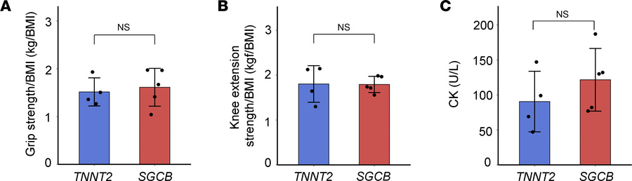 Muscle strength and serum CK levels in patients with SGCB and TNNT2 vari...