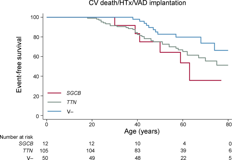 Event-free survival in patients with DCM harboring biallelic pathogenic ...