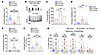 sif mutants display hyperexcitability at neuromuscular junctions.