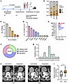 Analysis of clonal hematopoiesis in patients with aortic aneurysm.
