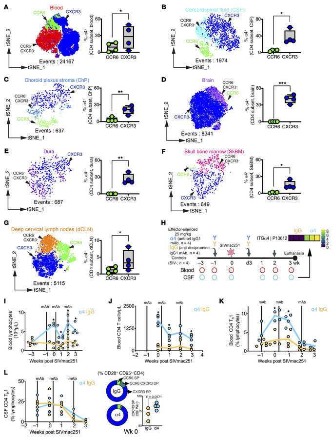 α4 Integrin expression and effects of blockade on T cells in blood and C...