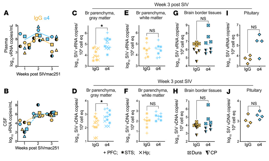 α4 Integrin blockade increases viral burden in brain parenchymal gray ma...