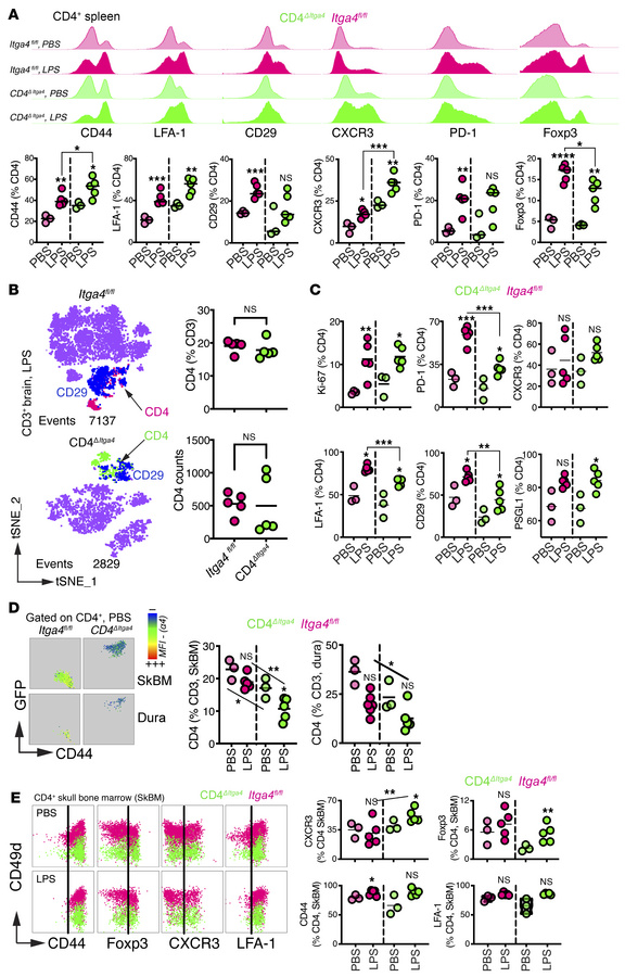 α4 Integrin is dispensable for CD4+ T cell access to the brain parenchym...