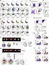 α4 Blockade selectively reduces integrin-dependent T cell recruitment to th