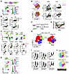 α4 Integrin is dispensable for CD4+ T cell access to the brain parenchyma a