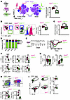 α4 Integrin regulates CD8+ T cell migration into the CNS and its borders.