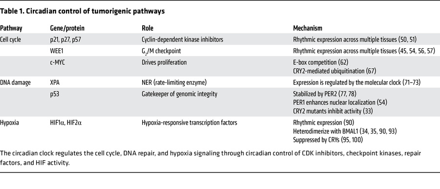 Circadian control of tumorigenic pathways