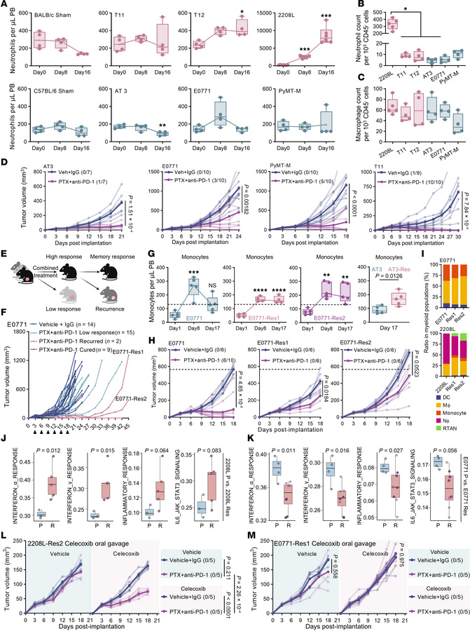 Dichotomous immune microenvironment in murine TNBC models.
(A) Flow cyto...