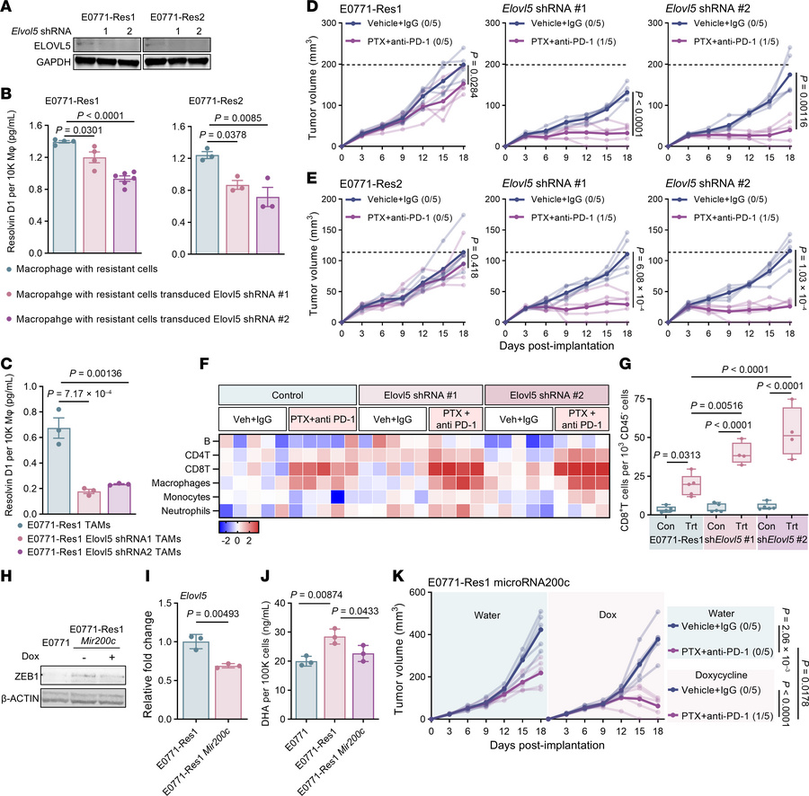 Knockdown of ELOVL5 resensitizes resistant tumor to chemoimmunotherapy.
...