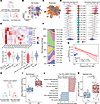 Distinct immune microenvironment in human TNBC.