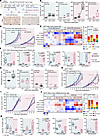 Monocyte-derived tumor-associated macrophages are key mediators of therapy