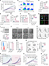 C1q disrupts CD8+ T cell metabolism, enabling immune evasion in resistant t