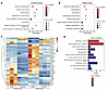 Deregulated genes associated with keratinocyte differentiation and establis