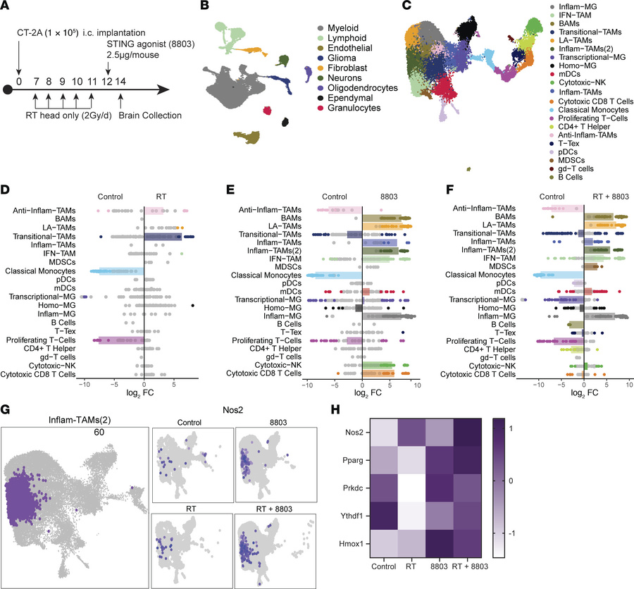Ex vivo correlative analysis of the TME using scRNA sequencing and multi...