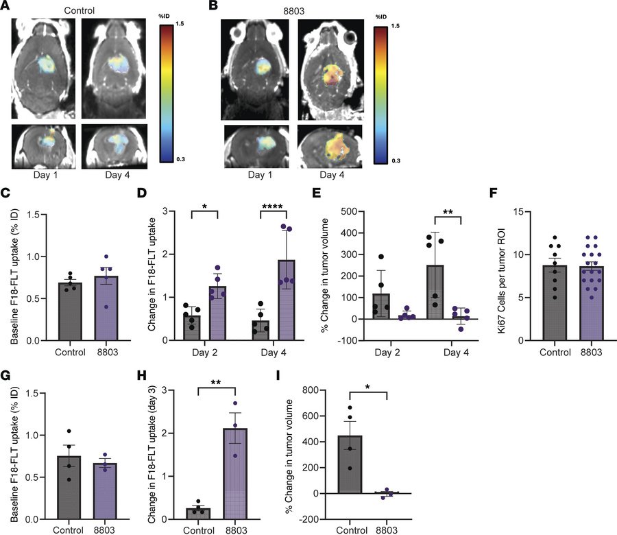 8803 in vivo activity determined using [18F]-FLT PET imaging.
Representa...