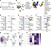 Ex vivo correlative analysis of the TME using scRNA sequencing and multiple