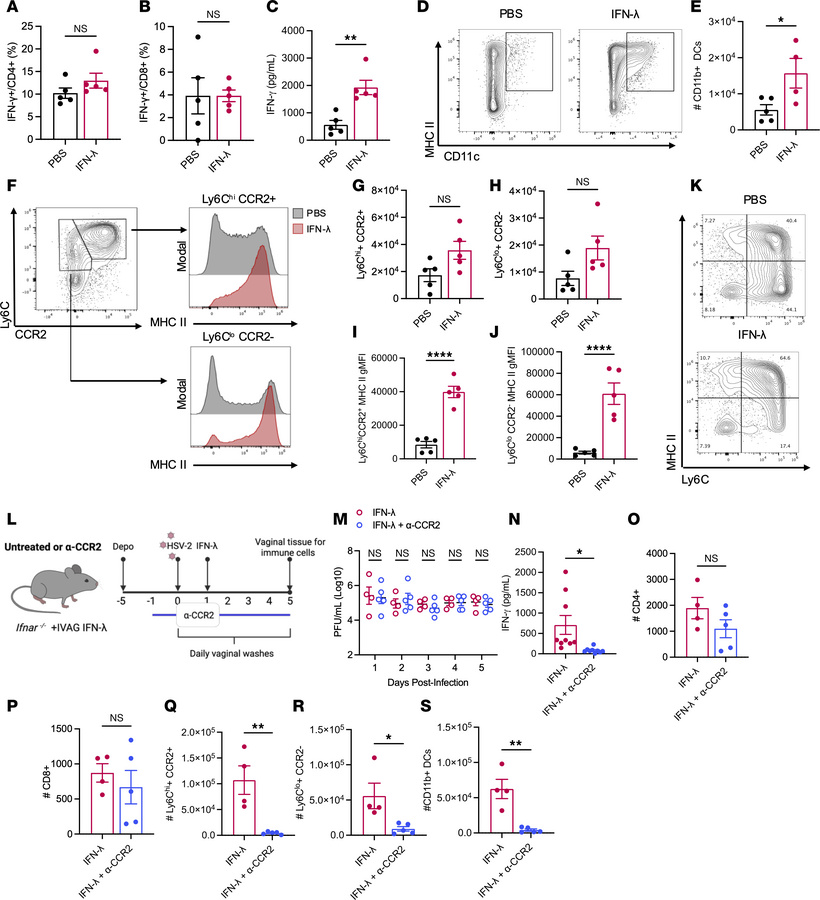 IFN-λ boosts CD4+ T cell function through CCR2+ inflammatory monocytes.
...