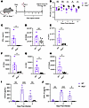 Absence of type I IFNs impairs adaptive immunity to HSV-2 infection.