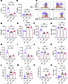 IFN-λ treatment does not alter T cell priming.
