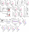 IFN-λ boosts CD4+ T cell function through CCR2+ inflammatory monocytes.