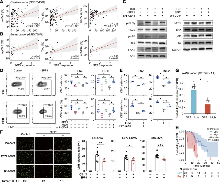 SPP1-mediated immunosuppression correlates with poor prognosis after PAR...