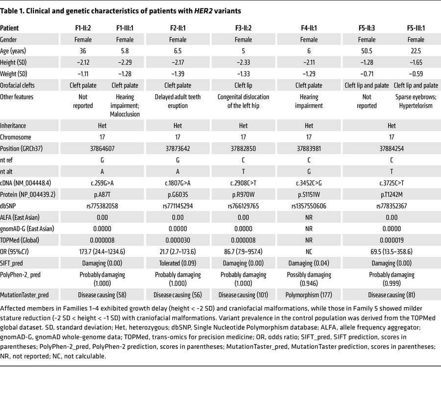 Clinical and genetic characteristics of patients with HER2 variants