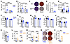 Impaired osteogenic differentiation of PECs from MetΔJMD mice.