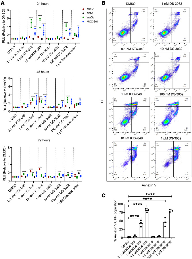 KTX-049 induces apoptosis in MCCP cell lines.
(A) MKL-1, WaGa, MS-1, and...
