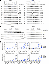 KTX-049 leads to a robust p53 response in MCCP cell lines.