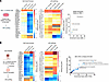 Global proteomics reveals that KTX-049 and KT-253 induce increased levels o