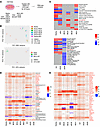 Impaired transcriptional activation of a distinct set of direct p53 target