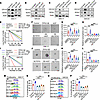 TFPI2-induced GSC self renewal is regulated by the HIF-1α–NF-κB signaling a