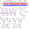 DYRK1A regulates the antigen processing, maturation, and cytokine expressio