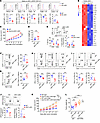 DYRK1A ablation in cDC1s dampens antitumor immunity.