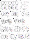 DYRK1A promotes activation and antigen presentation of cDC1s.