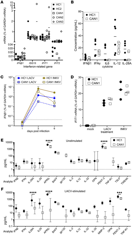 CANDLE COs do not have elevated cytokine or IFN responses.
(A) cDNA reve...