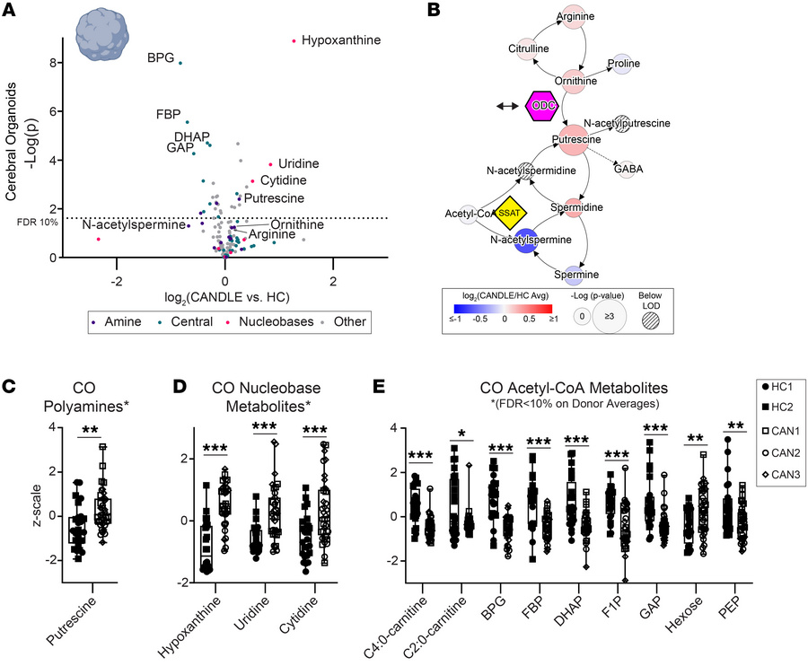 COs from patients with CANDLE have altered polyamine, nucleobase, and ac...