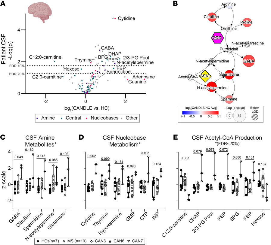 CSF from patients with CANDLE have altered polyamine, nucleobase, and Ac...