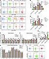 CLEC5A enhances TAM polarization toward a TAM-IM phenotype.