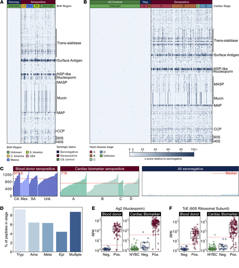 PhIP-seq captures known antigens across the T. cruzi life cycle stages.
...