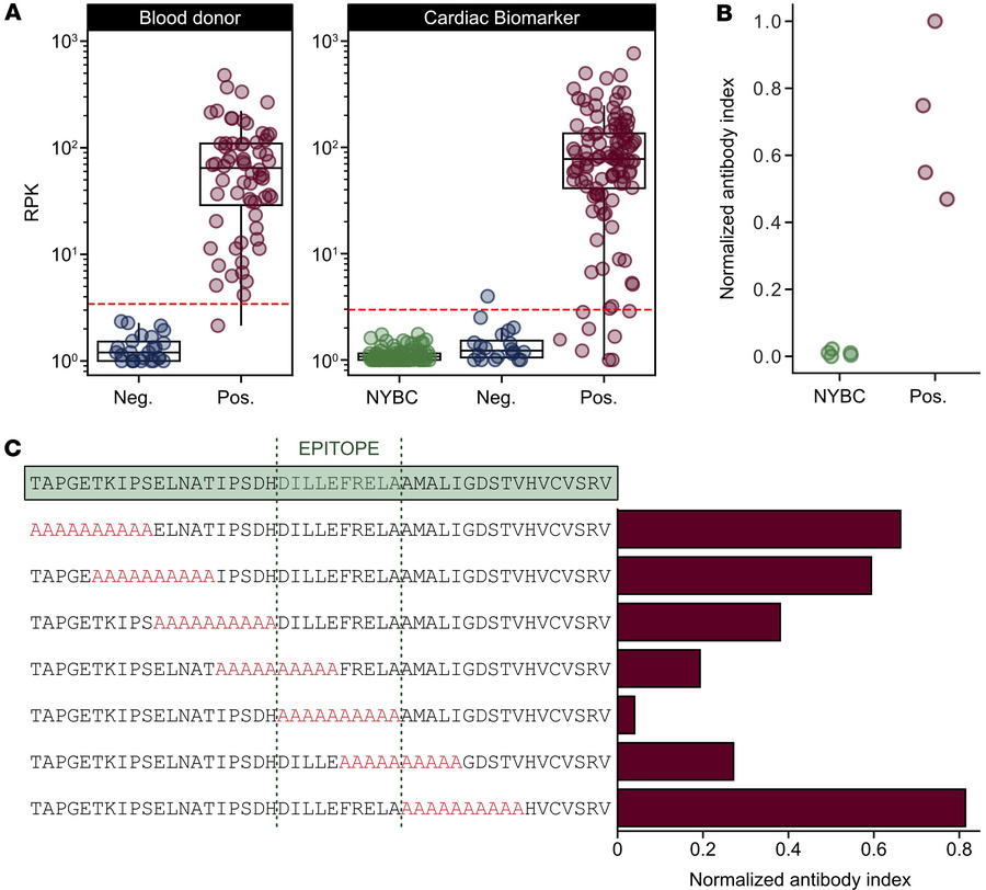 A trans-sialidase peptide sequence is a highly reactive serological anti...