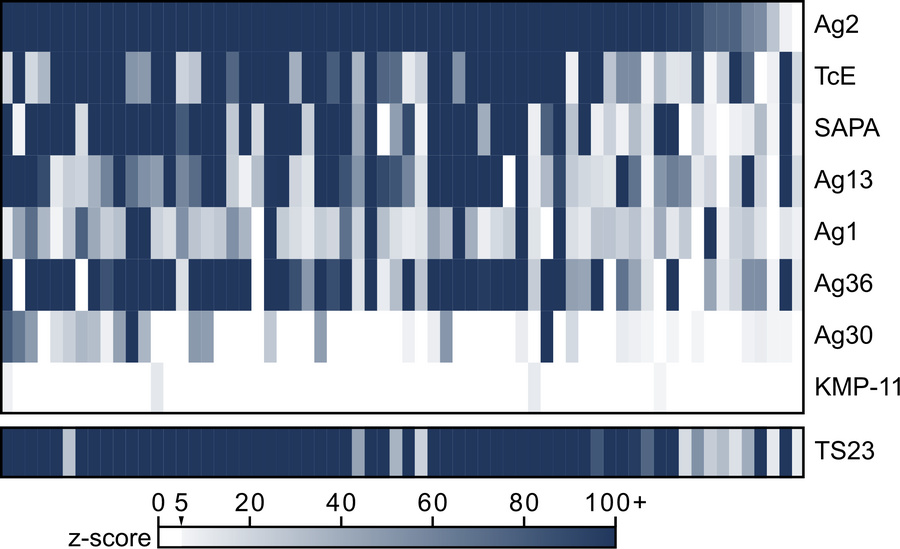 PhIP-seq antibody reactivity of current diagnostic antigens and TS23 in ...