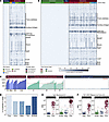 PhIP-seq captures known antigens across the T. cruzi life cycle stages.