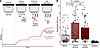 Biolayer interferometry validates trans-sialidase antigen TS23 seroreactivi