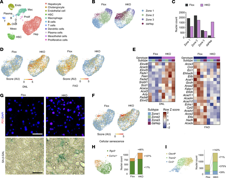 THEMIS inactivation reprograms hepatocyte and nonparenchymal cell transc...
