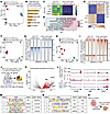 EED inactivation epigenetically restores LUAD oncogenic signatures in vivo.