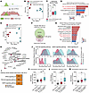 H3K27me3 represses LUAD oncogenic programs in human SCLC through bivalent s