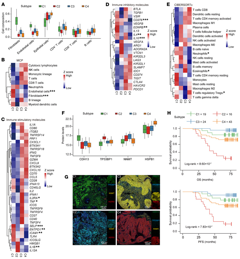 Characteristics of CC molecular subtypes and validation in independent c...