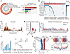 Multi-omics landscape of CC.